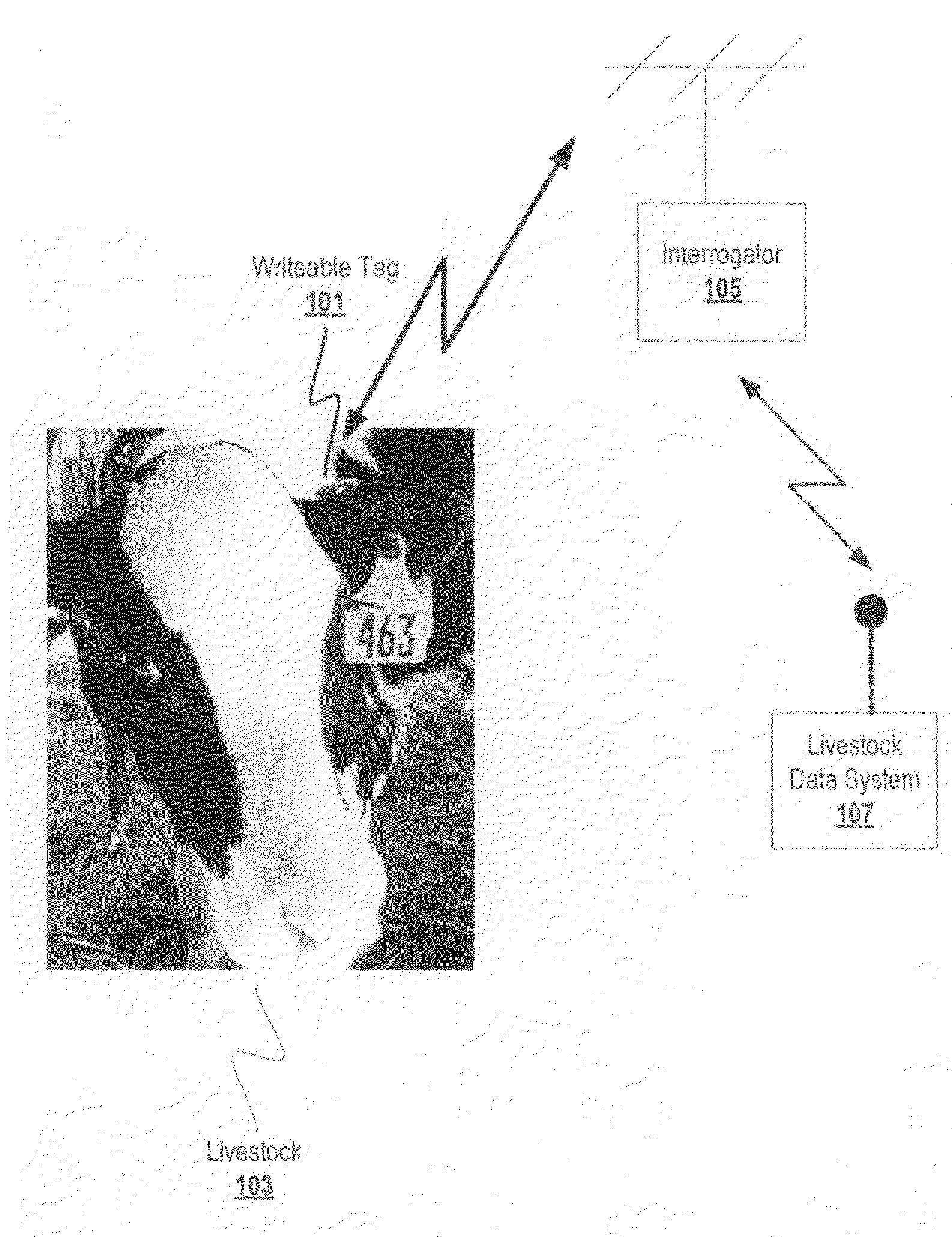 Method and apparatus for improved monitoring and managing of livestock