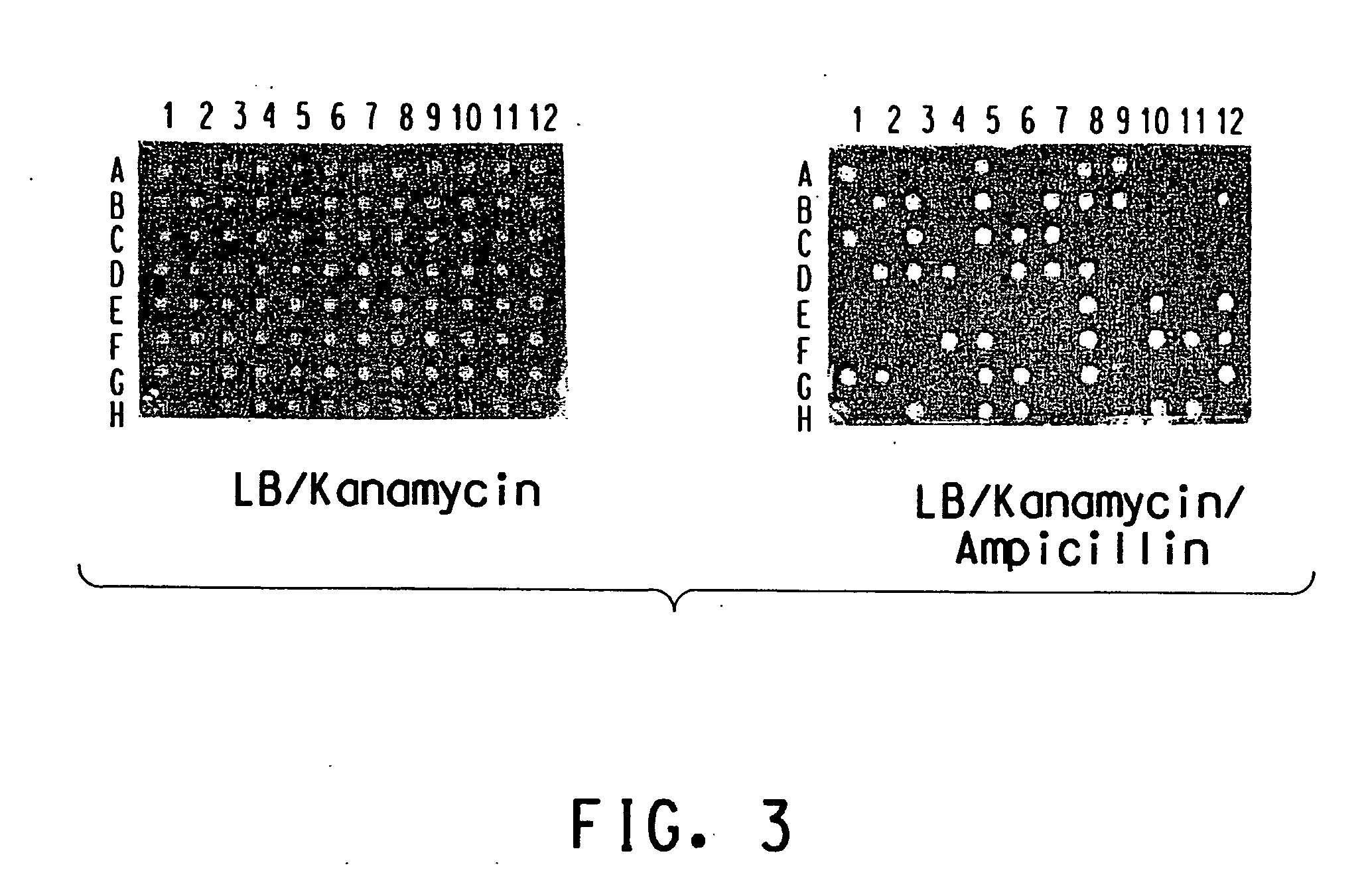 Method for determination of gene function