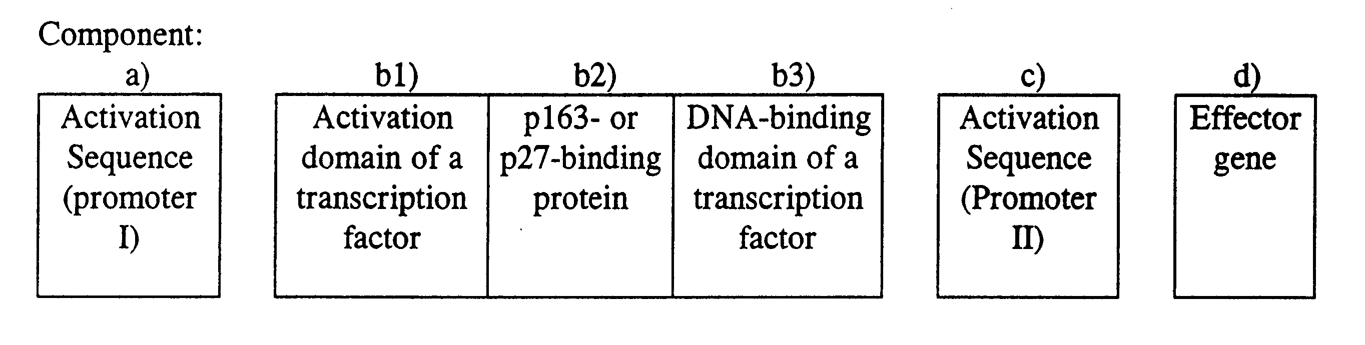 Nucleic acid constructs whose activity is affected by inhibitors of cyclin-dependent kinases and uses thereof