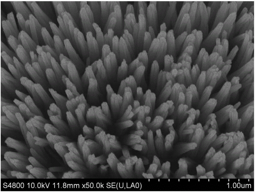 Preparation method and application of nanometer silicon array negative electrode material
