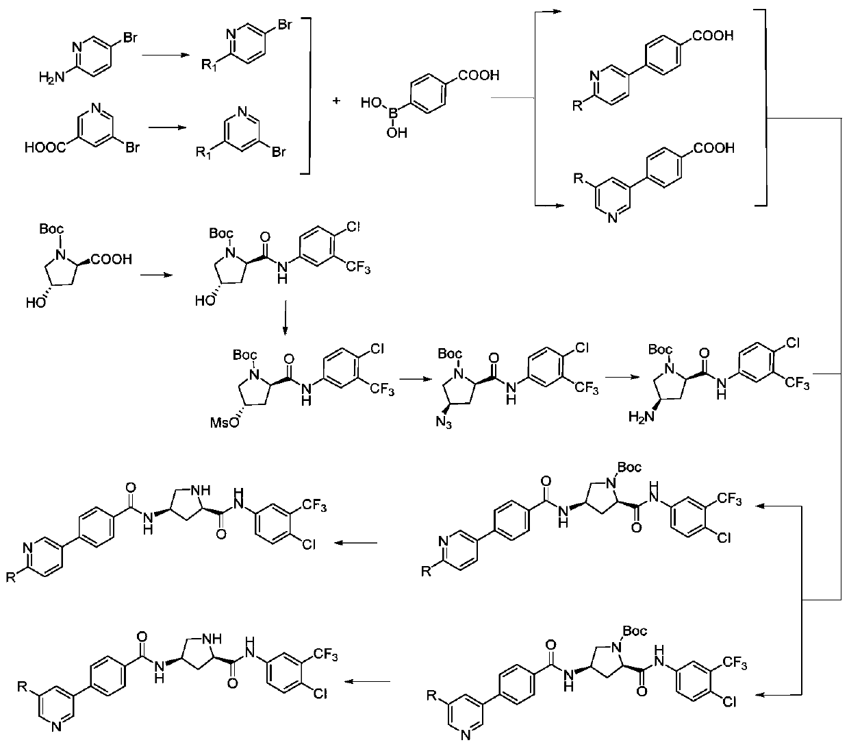 Compound containing hydroxyproline and preparation method and application of compound