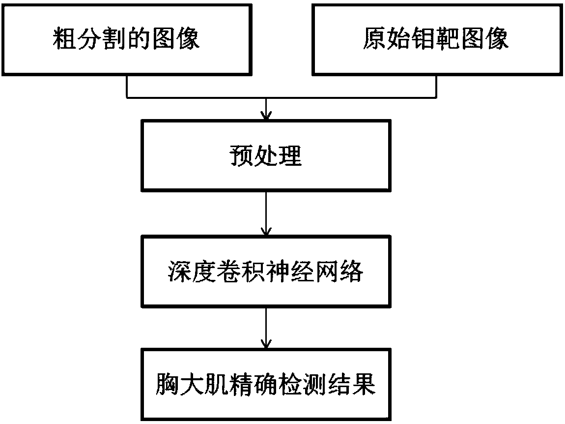 Method for automatically detecting pectoralis major muscle area in molybdenum target image