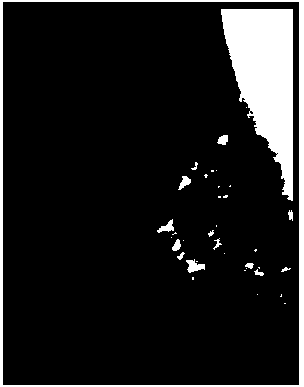 Method for automatically detecting pectoralis major muscle area in molybdenum target image