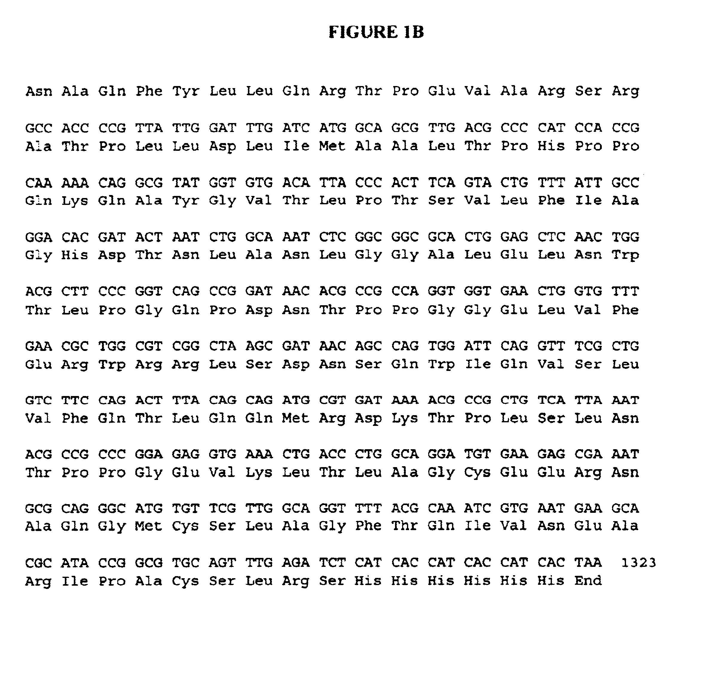 Phytase-containing foodstuffs and methods of making and using them