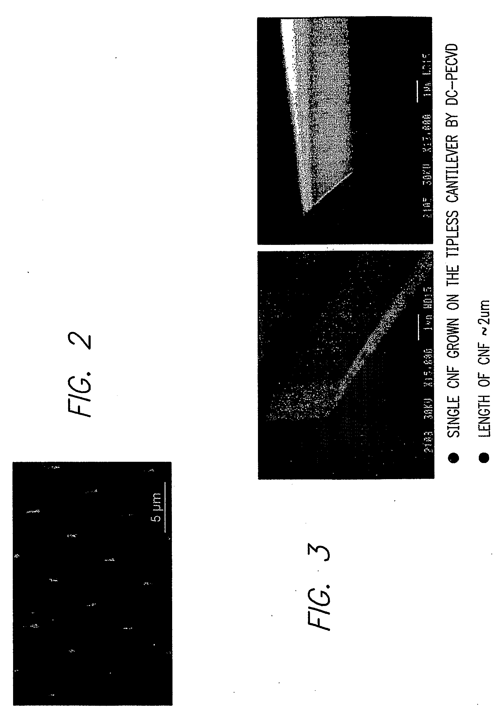 Probe System Comprising an Electric-Field-Aligned Probe Tip and Method for Fabricating the Same