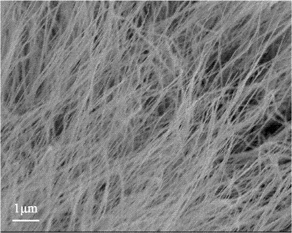 Preparation methods for arrayed nickel silicon nanowire and nickel silicon-silicon core-shell nanowire