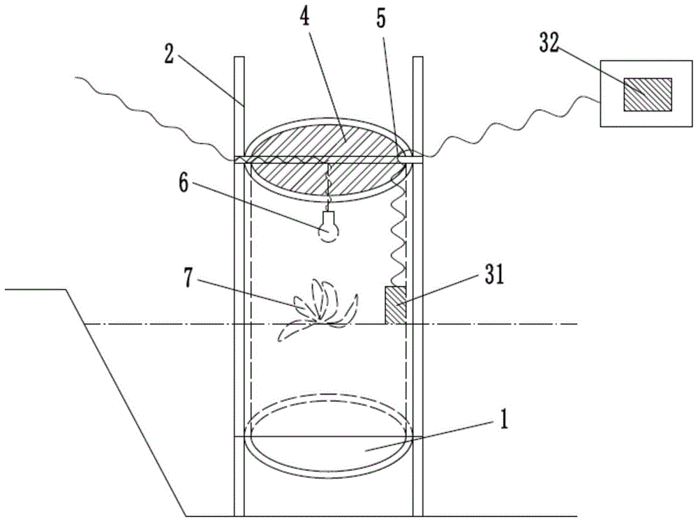 A device for trapping and killing damselfly larvae