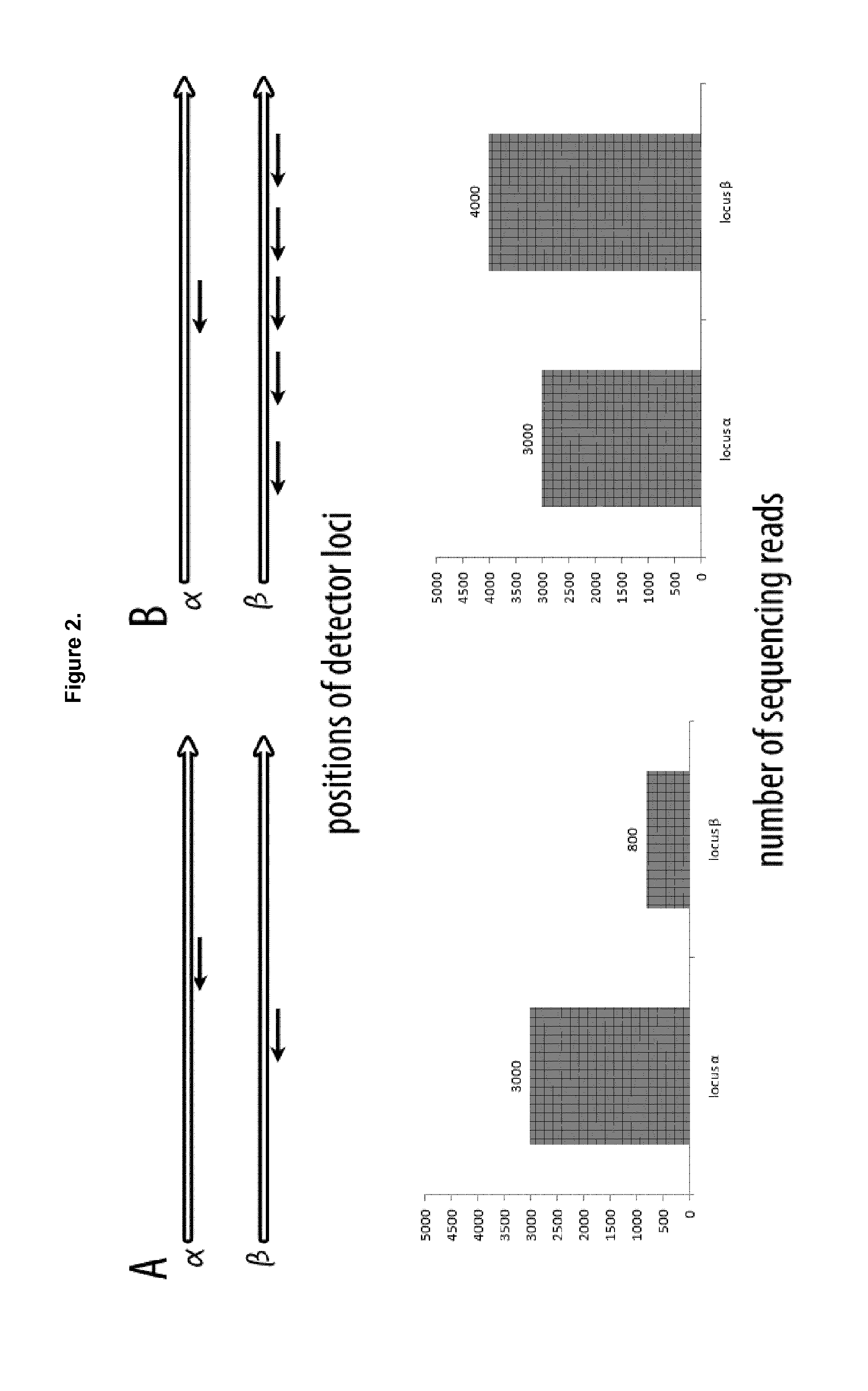 Method of analysis of composition of nucleic acid mixtures