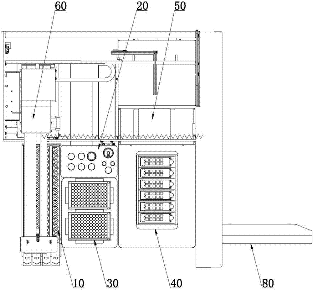 Biochip analyzer and analysis method