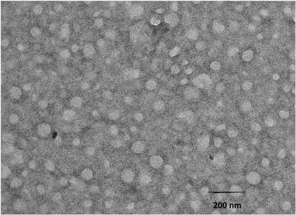 Doxorubicin hydrochloride self-assembled polymer nanoparticle and preparation method thereof