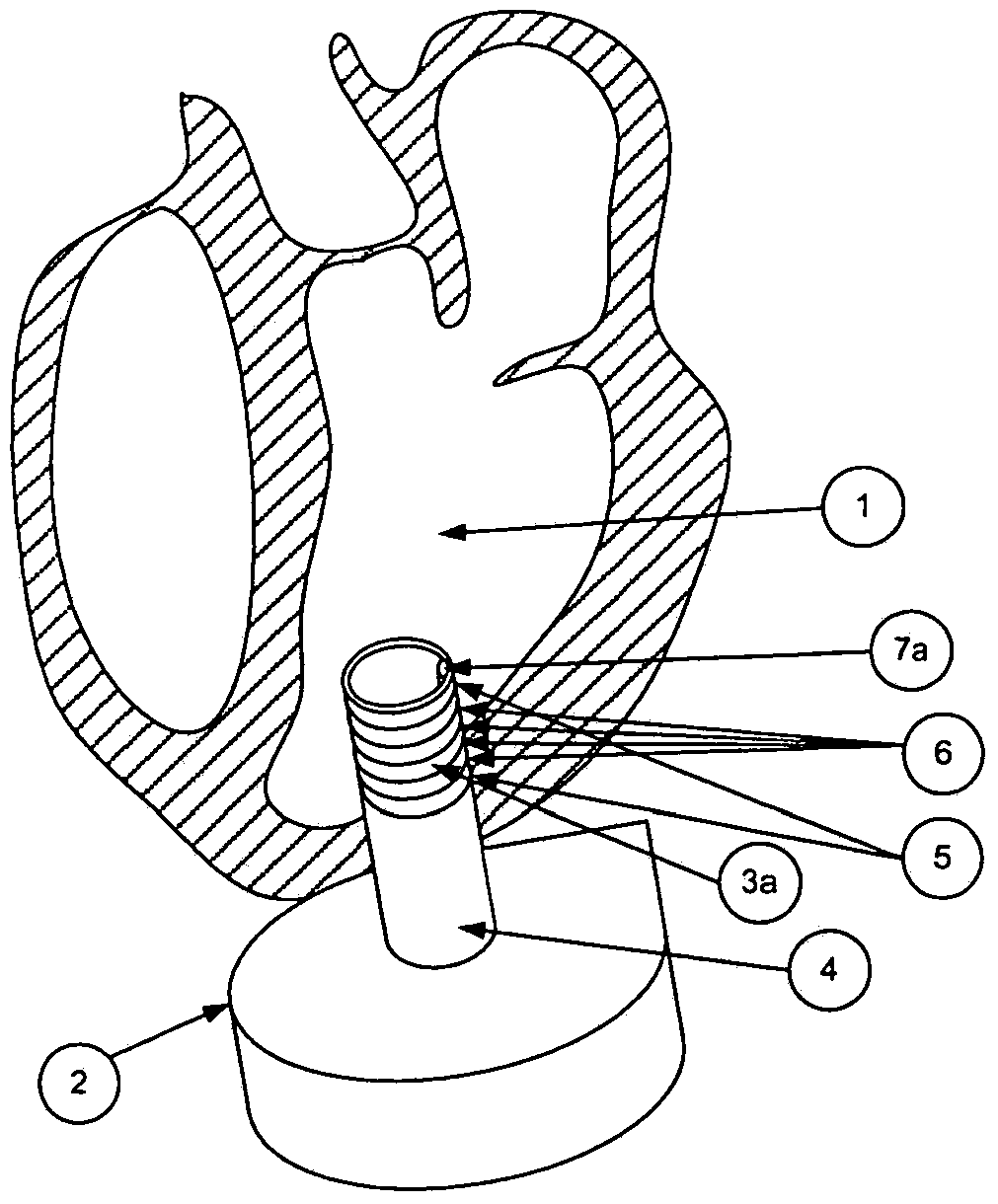 Blood withdrawal cannula of a pump replacing or assisting activity of the heart