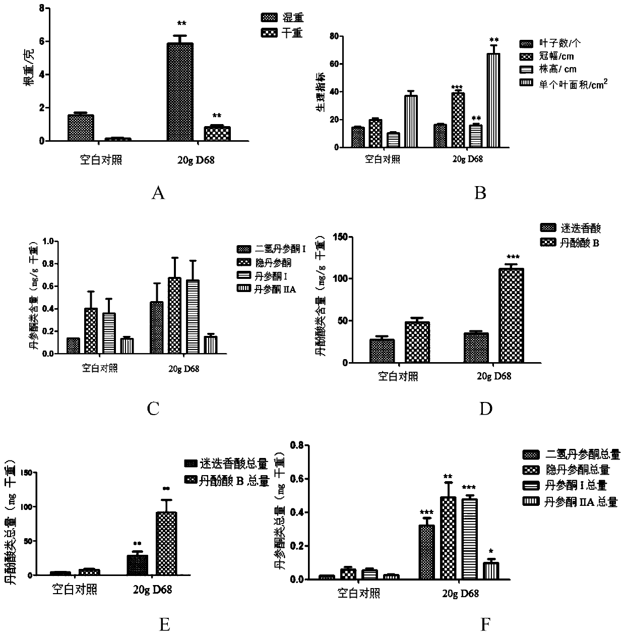 A kind of endophytic fungus and its application for increasing the yield of salvia miltiorrhiza and its active ingredient content