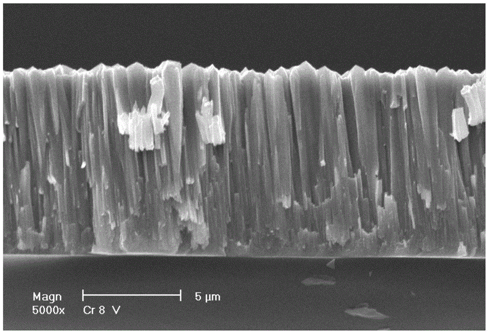 A kind of preparation method of silicon thin film photothermal absorber