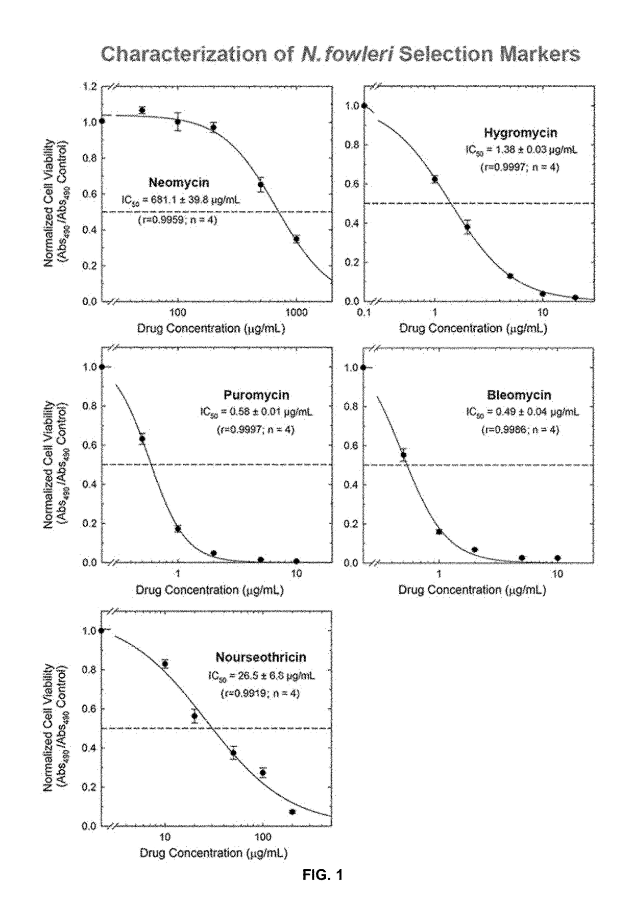 Transfection vector for pathogenic amoebae and uses thereof