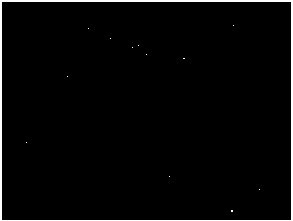 A kind of sulfuric acid or berberine hydrochloride multivesicular liposome and preparation method thereof