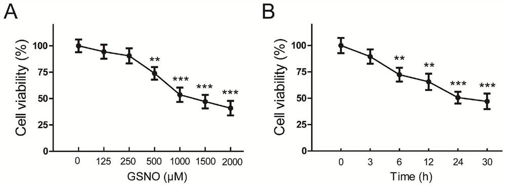 A method for improving the protective effect of creatine on excitotoxicity