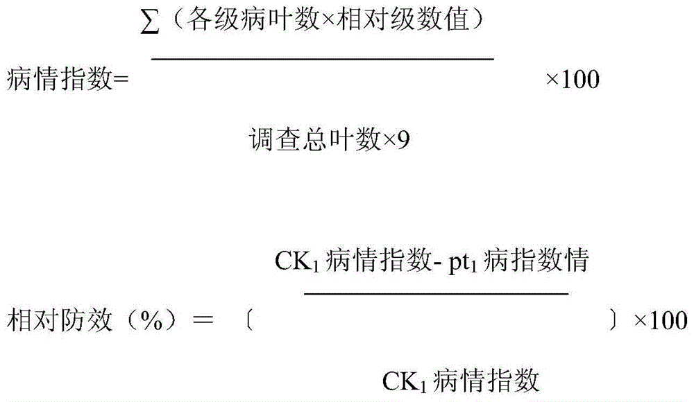 Chitosan oligosaccharide copper complex fungicide and application of chitosan oligosaccharide copper complex fungicide
