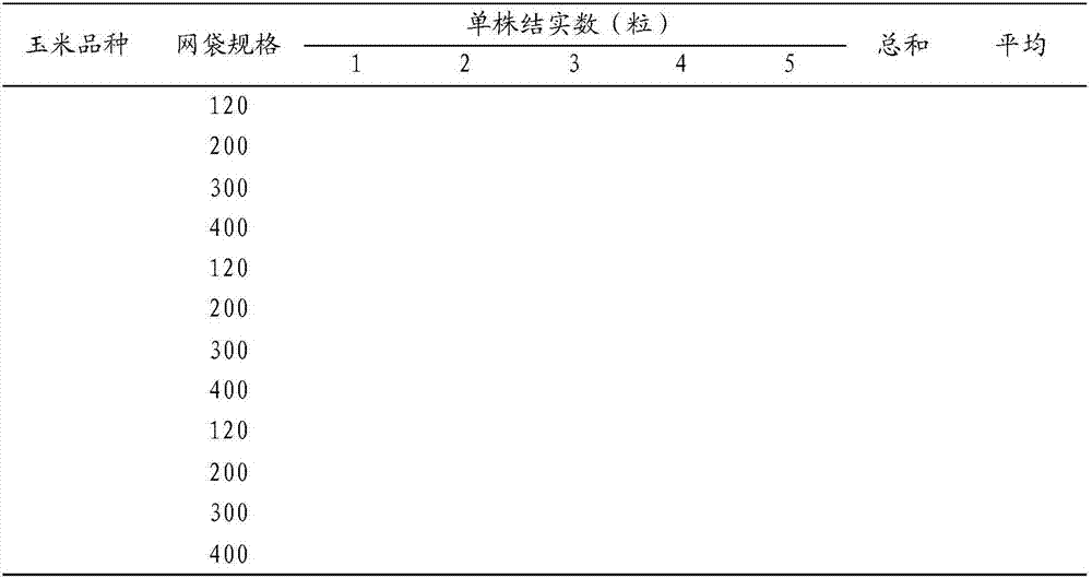 Method for realizing self-pollination of maize plant by isolation of exogenous pollen with net bag