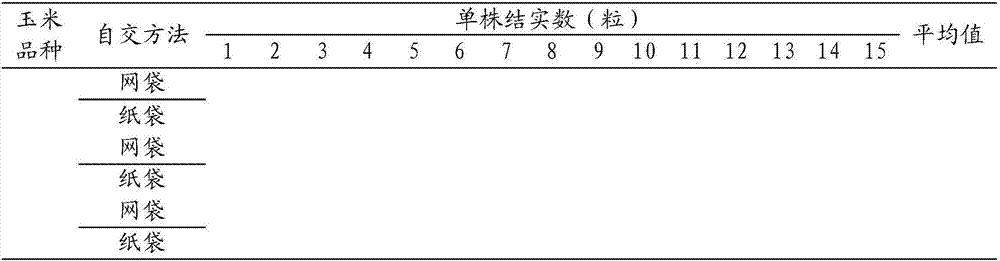 Method for realizing self-pollination of maize plant by isolation of exogenous pollen with net bag