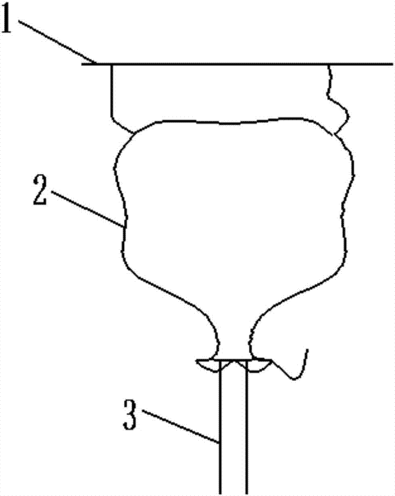 Method for realizing self-pollination of maize plant by isolation of exogenous pollen with net bag