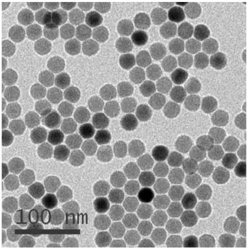 Preparation method and application of rare earth doped NaYF4/carbon quantum dot dual-mode fluorescent nanocomposite