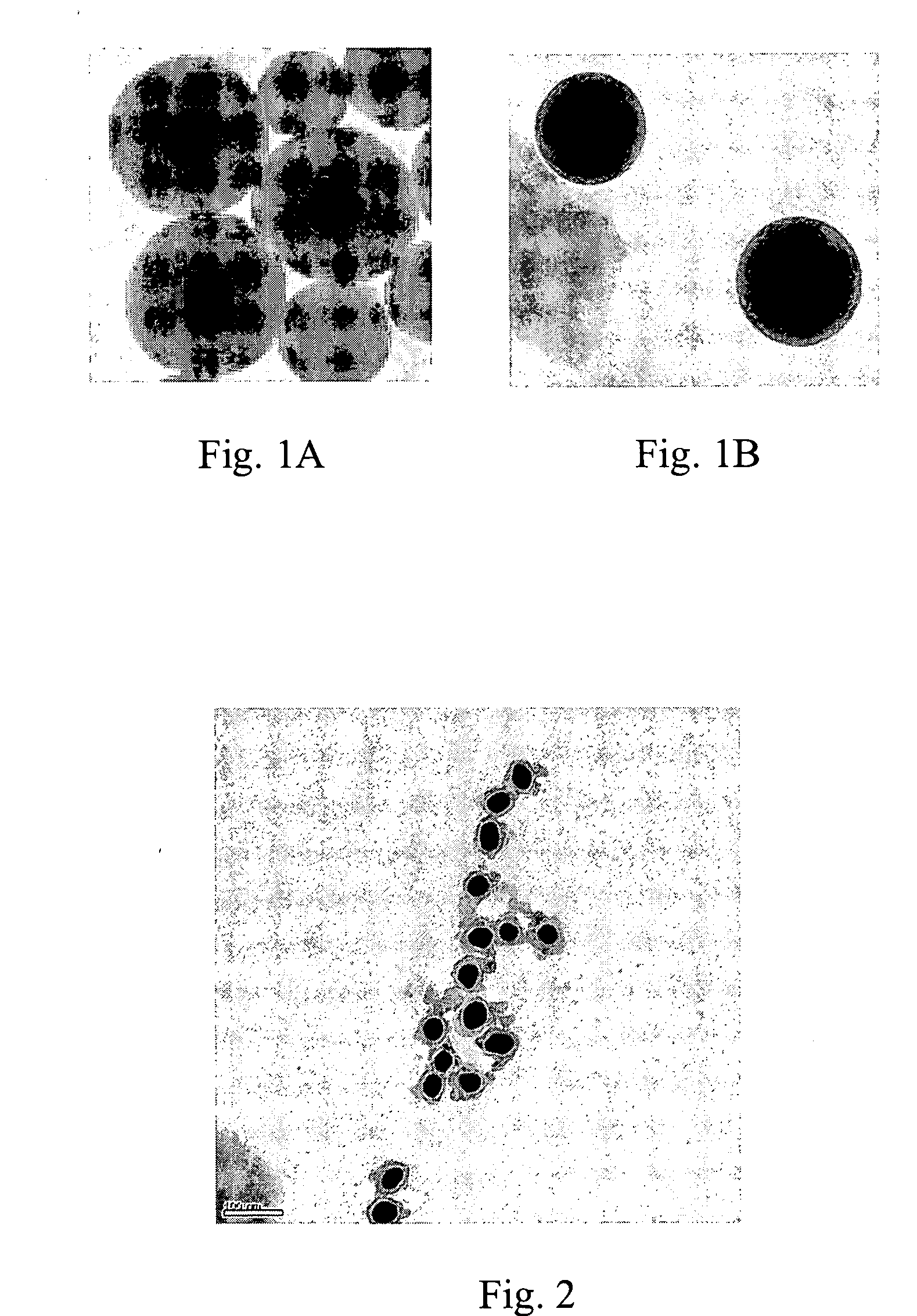 Surface enhanced spectroscopy-active composite nanoparticles