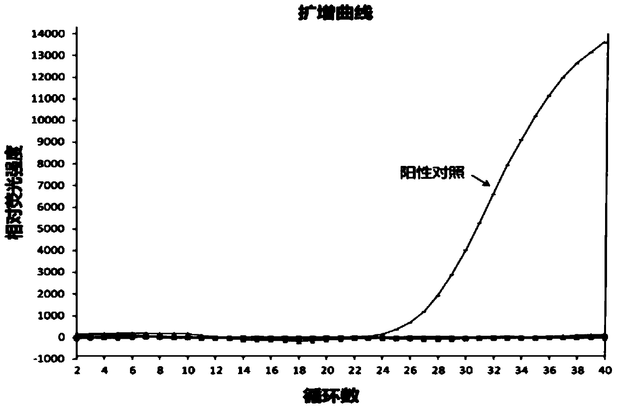 A kind of candida krusei fluorescent PCR detection kit