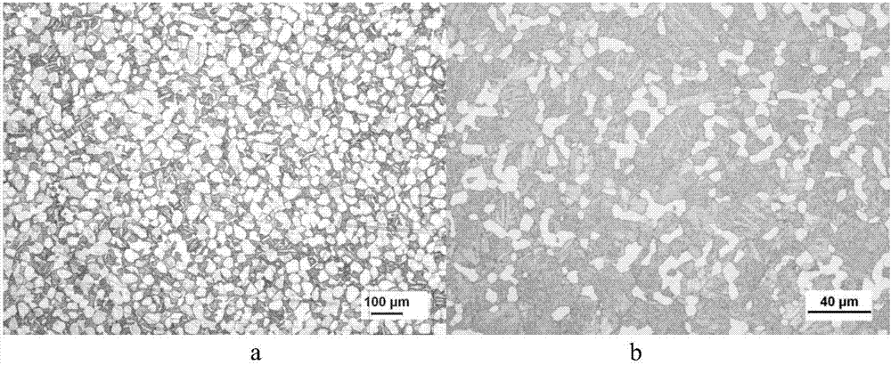 Heat treatment method for adjusting alpha-beta-phase titanium alloy texture