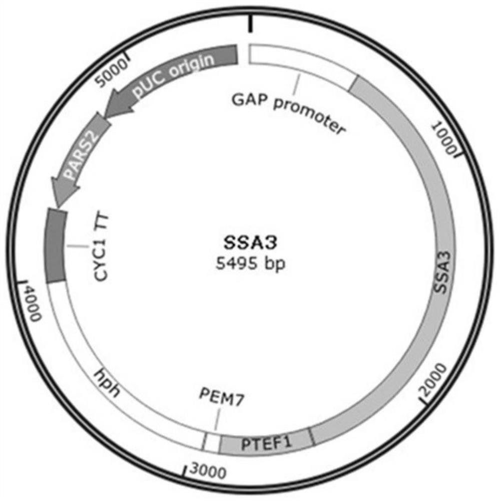 Method for increasing yield of pichia pastoris foreign protein