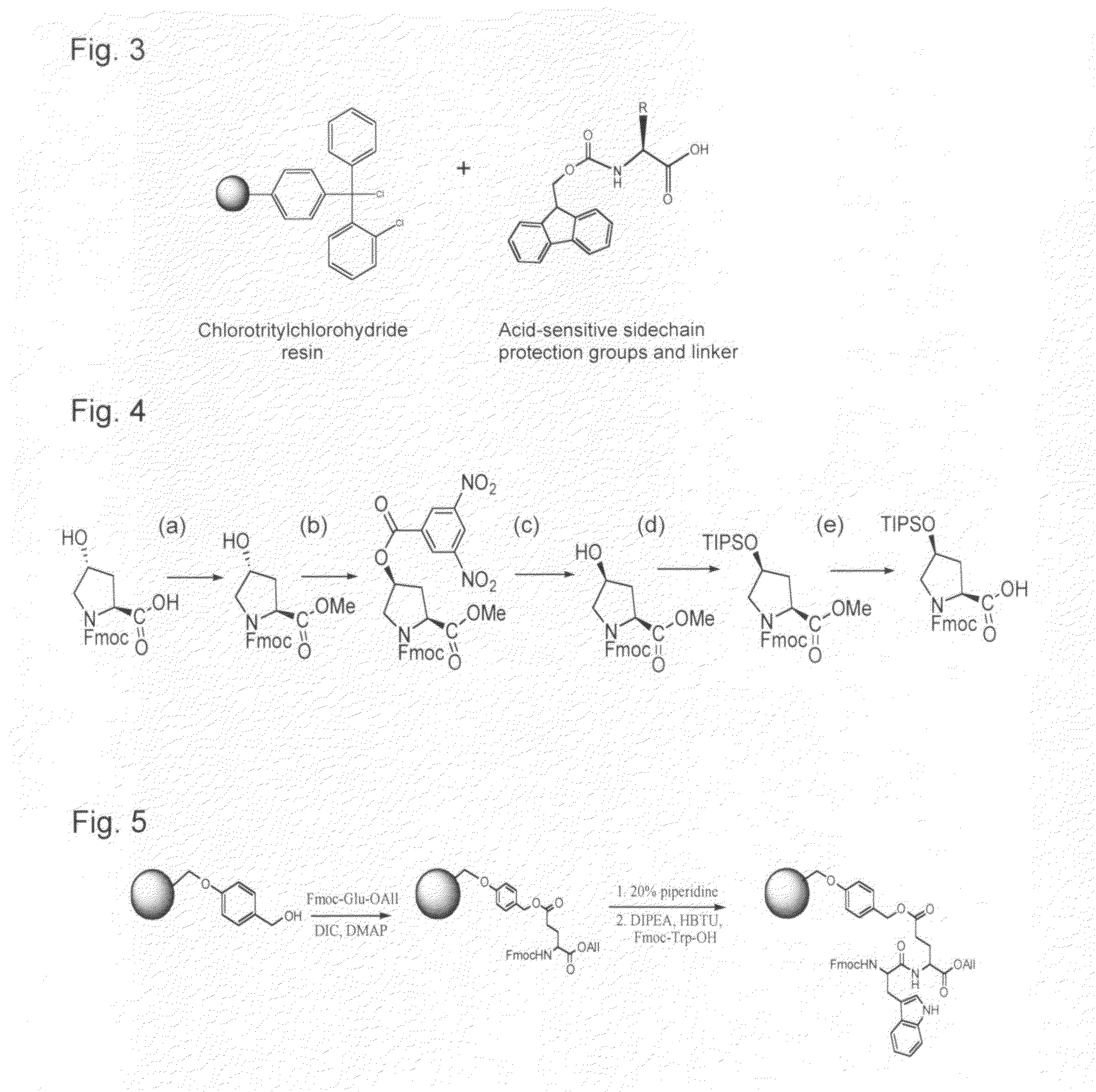 Phalloidin derivatives and methods for their synthesis