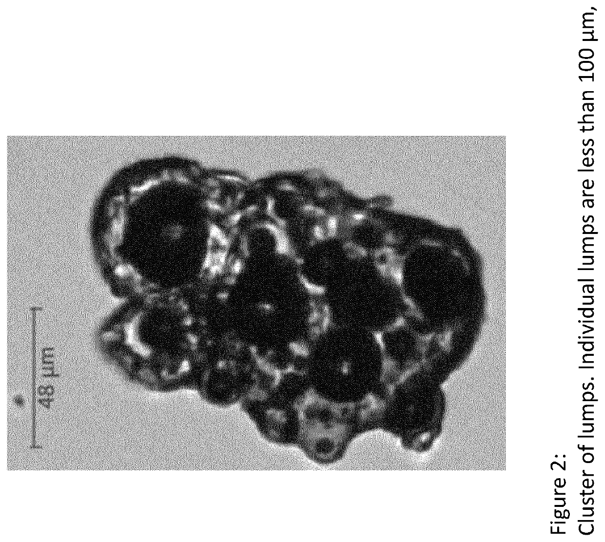 Gel composition comprising viable microorganisms