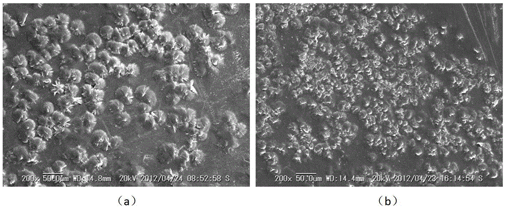 A kind of anti-water tree type polyolefin cable material and preparation method thereof