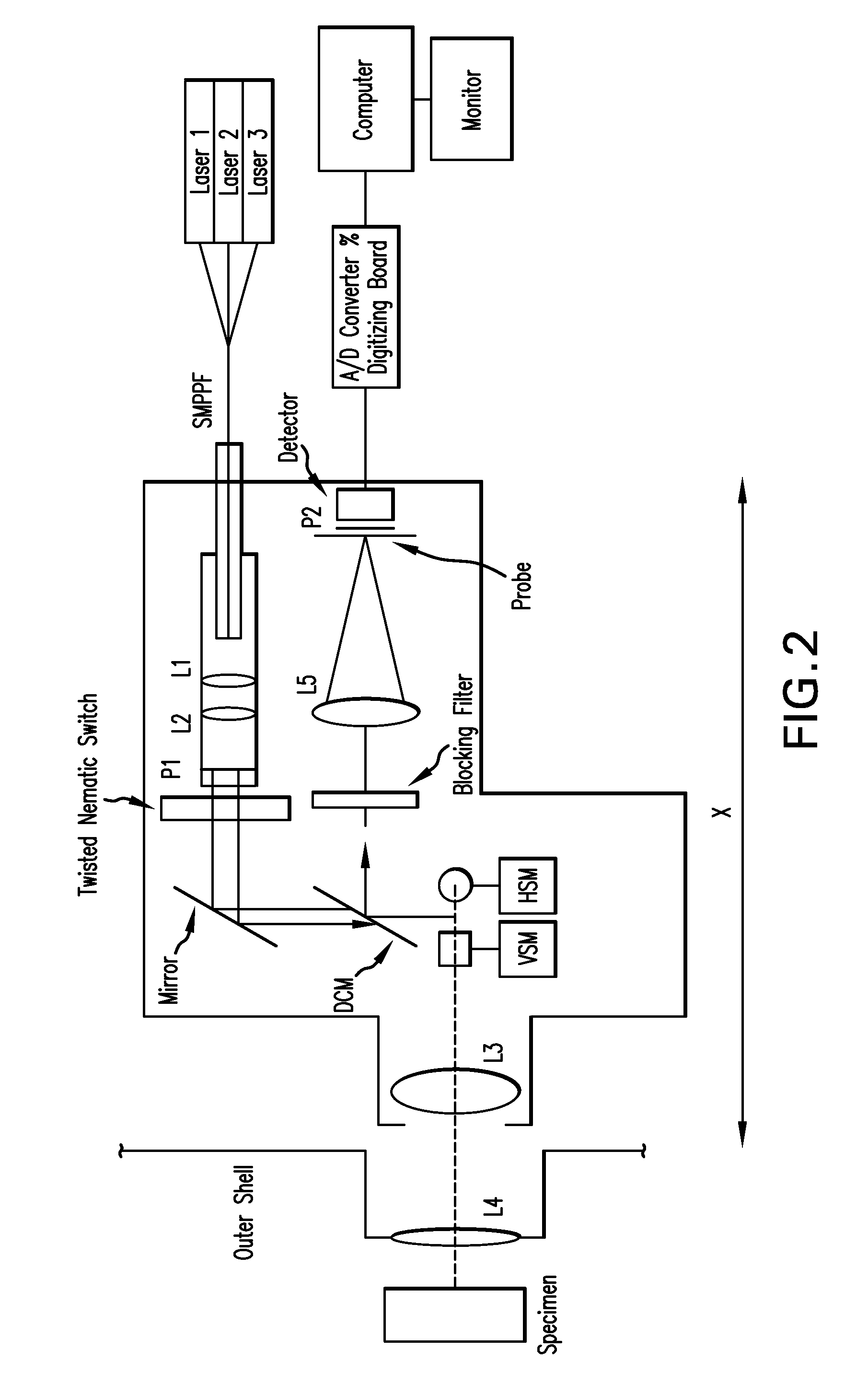Method and apparatus for the non-invasive measurement of tissue function and metabolism by determination of steady-state fluorescence anisotropy