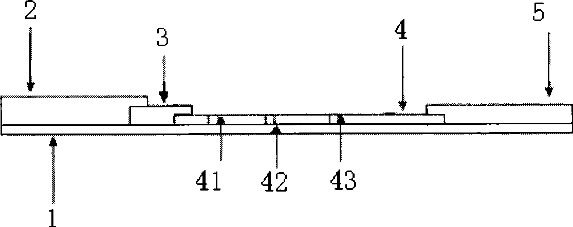 Clenobuterol hydrochloride detecting test paper and detecting method thereof
