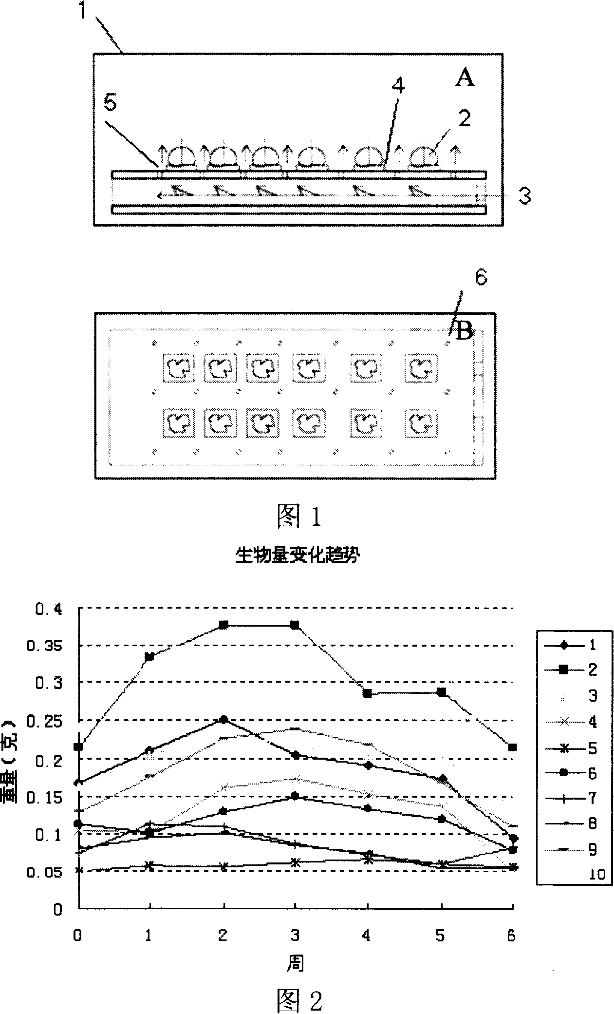 Method and device for producing biological siliceous material with reactor culture sponge or its cell