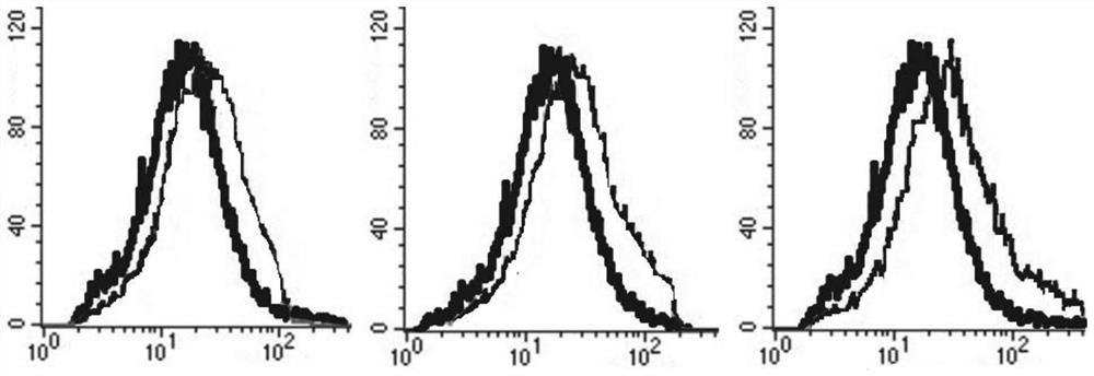 A kind of ssDNA nucleic acid aptamer and application thereof