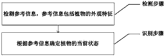 Detection method and device of plant state, and intelligent flowerpot