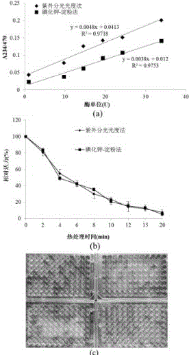 Lipoxygenase mutant with improved enzyme activity and thermal stability and preparation method