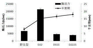 Lipoxygenase mutant with improved enzyme activity and thermal stability and preparation method