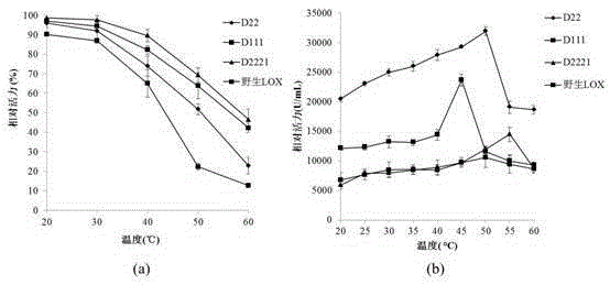 Lipoxygenase mutant with improved enzyme activity and thermal stability and preparation method