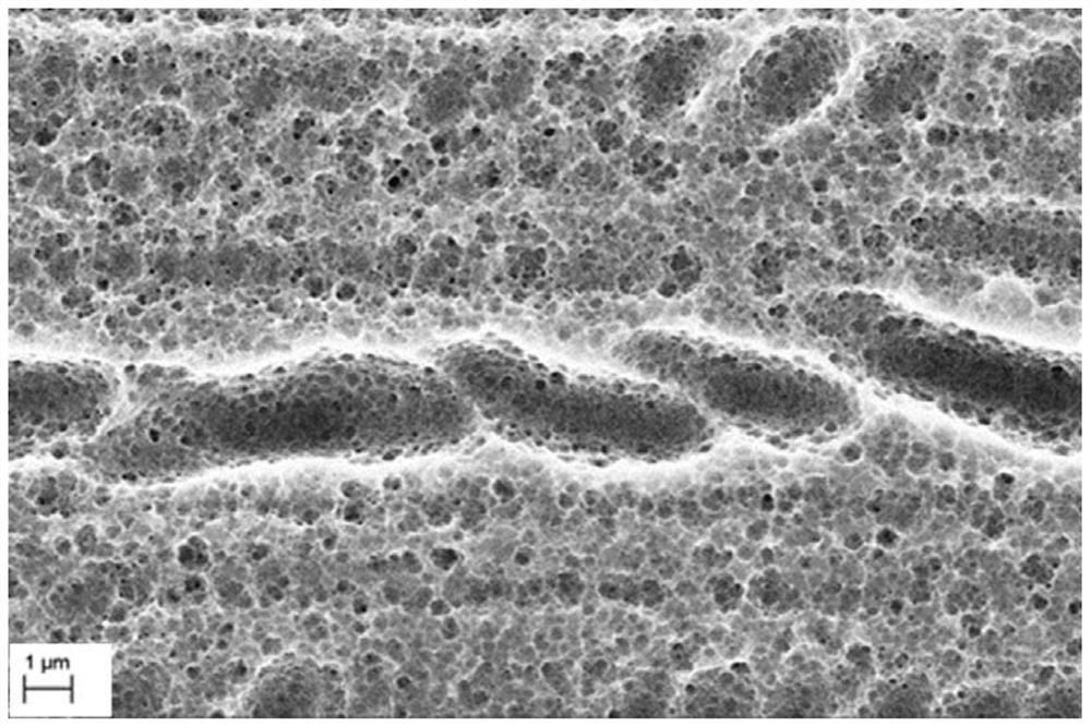 Preparation method of polycrystalline silicon wafer texturing liquid and black silicon material and its application in accelerating the letid recovery of perc battery