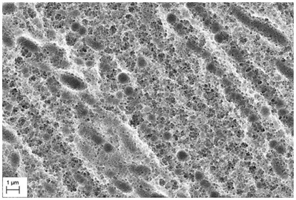 Preparation method of polycrystalline silicon wafer texturing liquid and black silicon material and its application in accelerating the letid recovery of perc battery