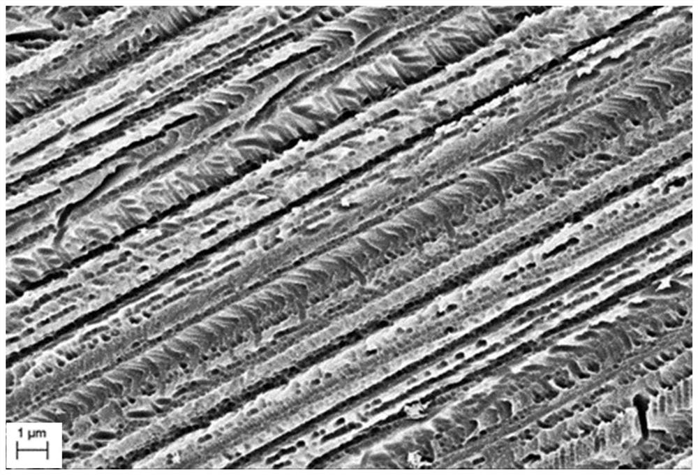 Preparation method of polycrystalline silicon wafer texturing liquid and black silicon material and its application in accelerating the letid recovery of perc battery