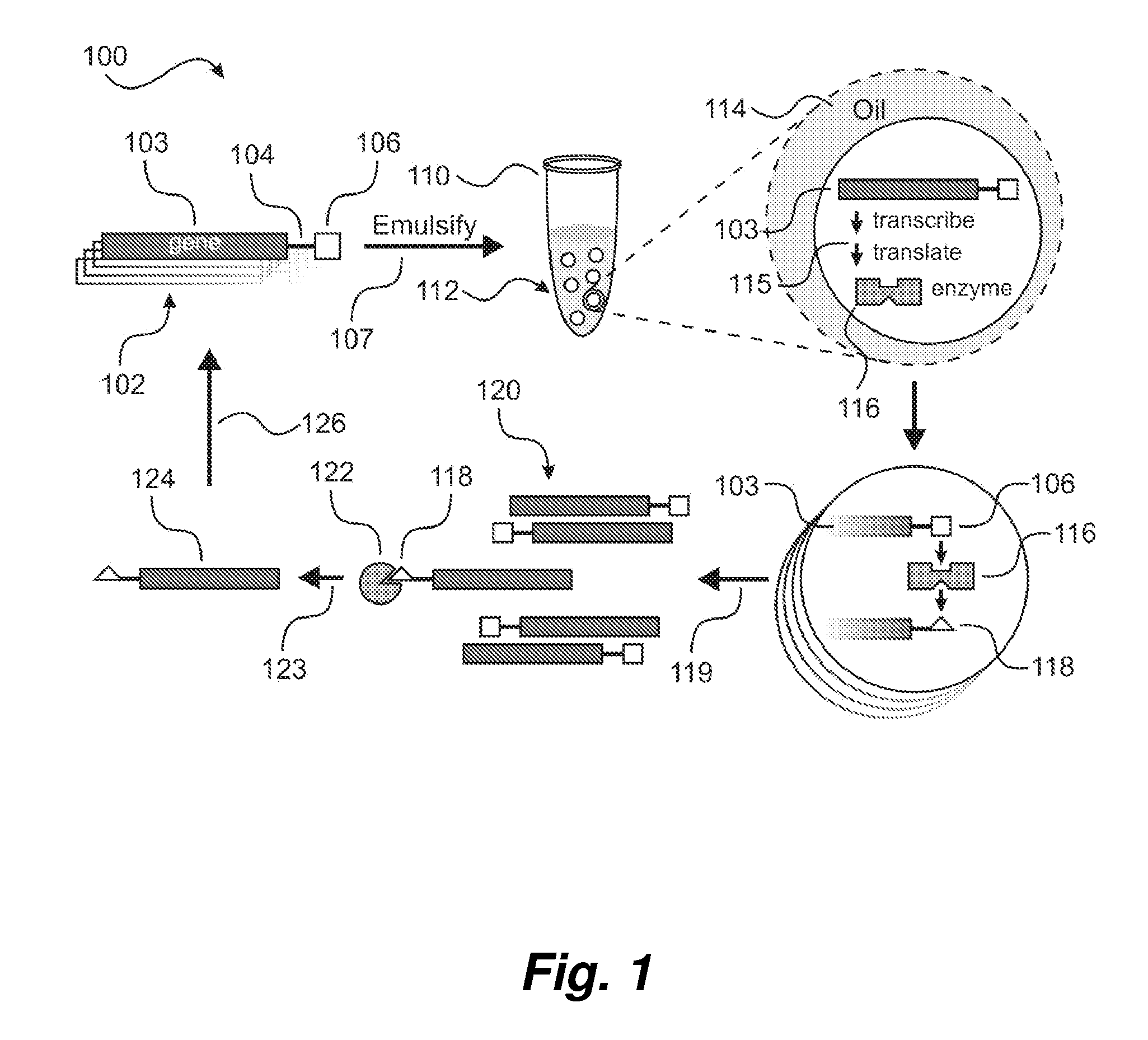 Method of enhancing enzyme activity