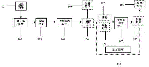 Method for producing citric acid by continuous fermentation of Aspergillus niger