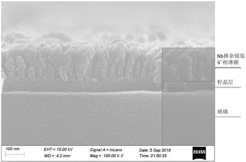 Titanium dioxide film gas sensor with niobium-doped anatase phase and manufacturing method for same