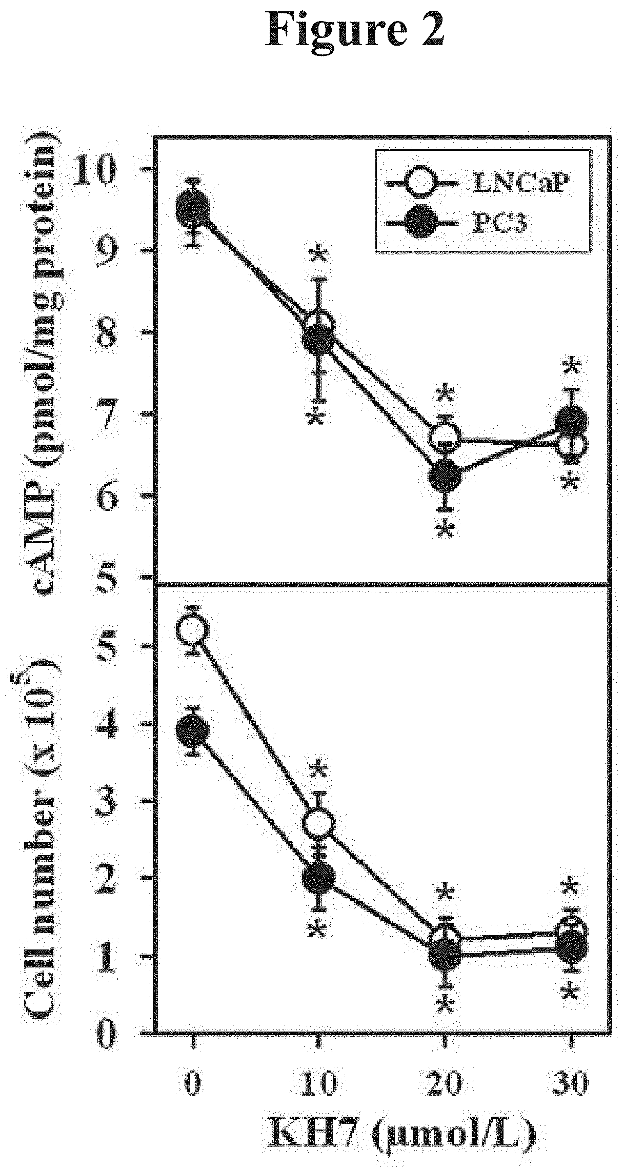 Methods for diagnosing and treating prostate cancer