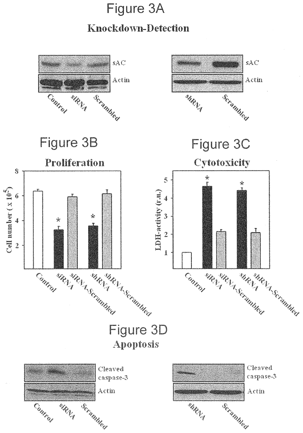 Methods for diagnosing and treating prostate cancer