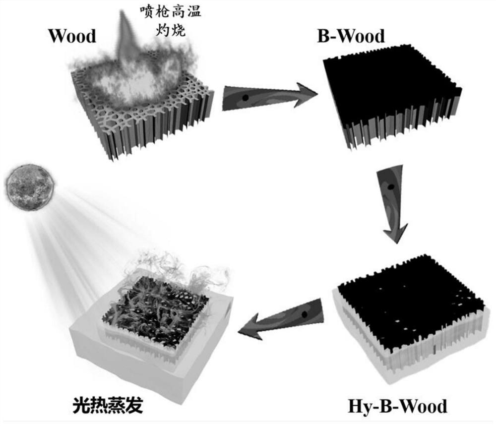 Self-floating wood-based hydrogel photo-thermal evaporator and preparation method and application thereof