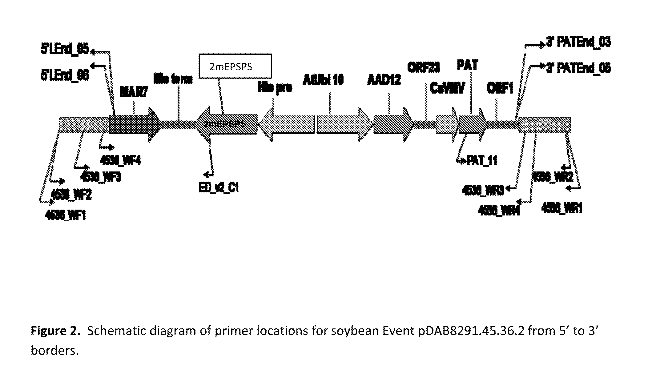 Stacked herbicide tolerance event 8291.45.36.2, related transgenic soybean lines, and detection thereof